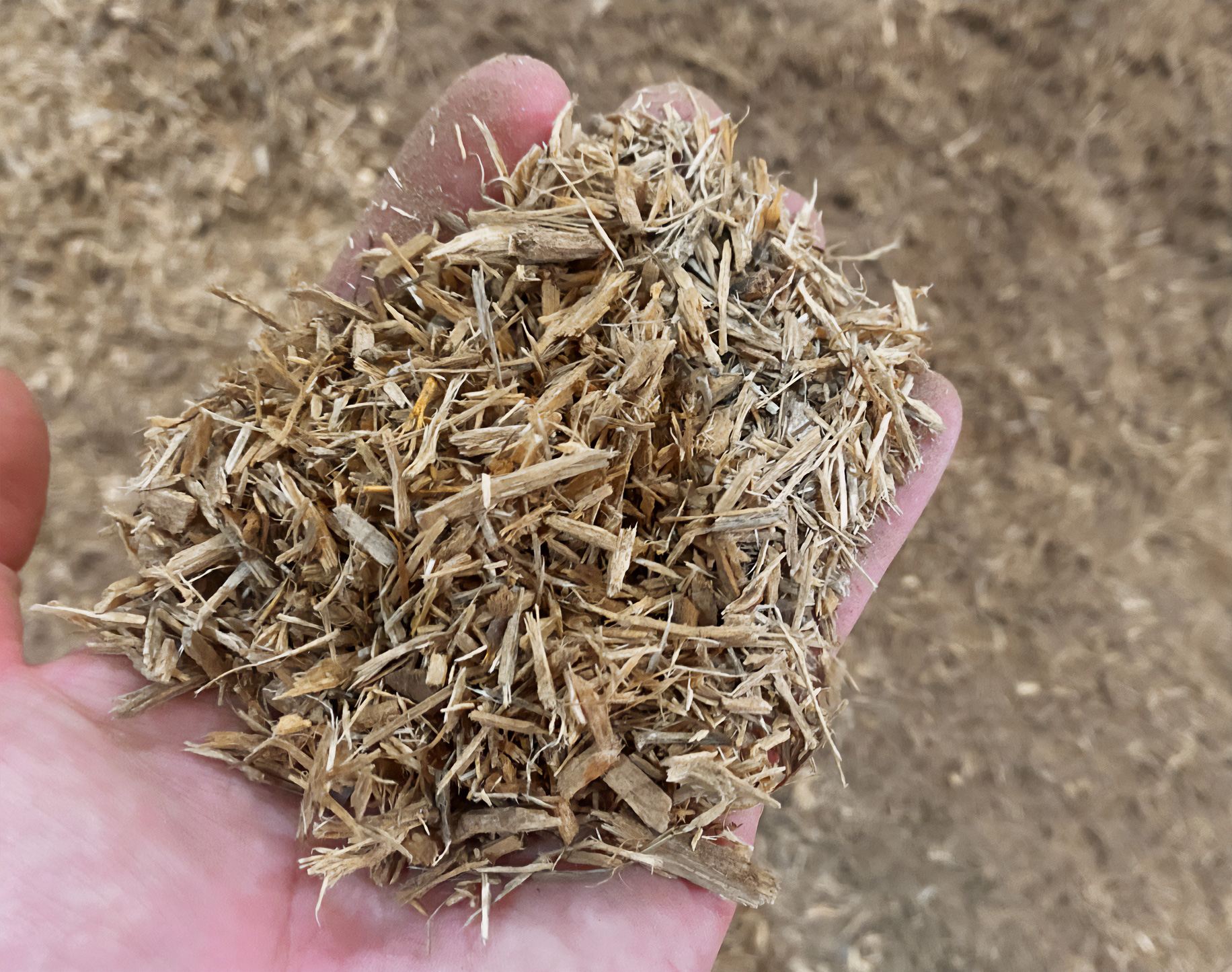 Système de séchage de branchages de bois FlowDrya