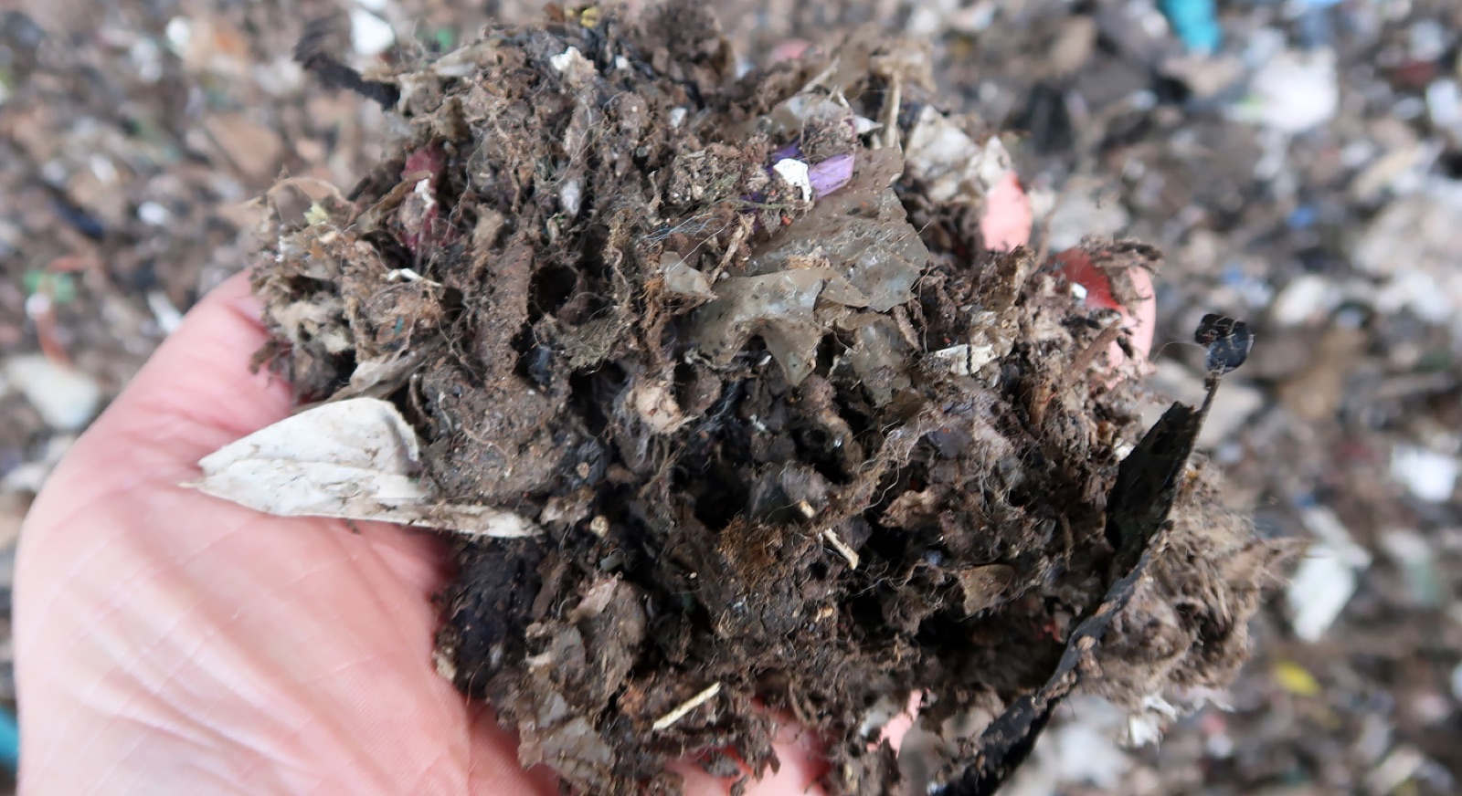 Drying Shredded MSW Trommel Fines with FlowDrya