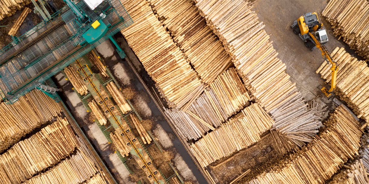 Czech sawmill case study